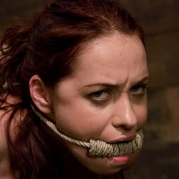 Olga Cabaeva in Can't Get Enough (Photo 6) Olga Cabaeva in 'Kink' Can't Get Enough (Thumbnail 6)