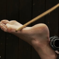 Payton Bell in 'Kink' Omega fucks another into Sexual Oblivion (Thumbnail 1)