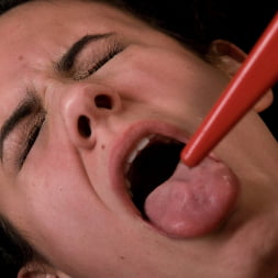 Penny Barber en 'Kink' Buena chica (Miniatura 15)