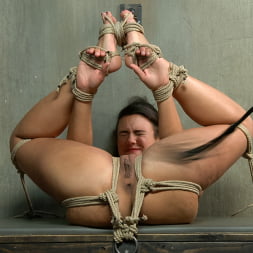 Penny Barber in 'Kink' Hot MILF, Tight Bondage, Mind Blowing Orgasms!! (Thumbnail 13)