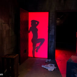 Phoenix Marie in 'Kink' XXX Red Light District Foot Worship XXX (Thumbnail 13)