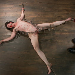 Pink in Newbie gets the full treatment! Extreme bondage and brutal torment!!! (Photo 4) Pink in 'Kink' Newbie gets the full treatment! Extreme bondage and brutal torment!!! (Thumbnail 4)