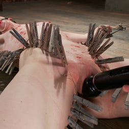 Pink in Newbie gets the full treatment! Extreme bondage and brutal torment!!! (Photo 5) Pink in 'Kink' Newbie gets the full treatment! Extreme bondage and brutal torment!!! (Thumbnail 5)