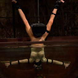 Rain DeGrey in 'Kink' The Dig: A BDSM Abduction Horror Feature film starring Cherry Torn, Rain DeGrey, and Iona Grace (Thumbnail 14)