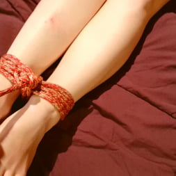 Reed Jameson en 'Kink' Bondage con cuerdas para el sexo (Miniatura 3)