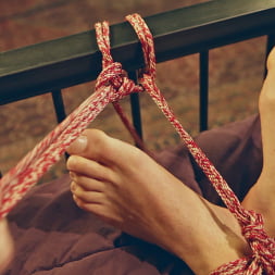 Reed Jameson en 'Kink' Bondage con cuerdas para el sexo (Miniatura 27)