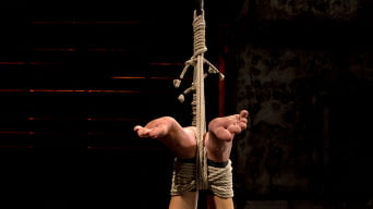 Rene Phoenix in 'Hot flexible blond suffers a Category 5 suspension. Anal hook, heavy nipple weights, made to cum.'
