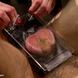 Riley Vlcek in Ode to Men In Pain Part 2: The Madeline Era (Photo 4) Riley Vlcek in 'Kink' Ode to Men In Pain Part 2: The Madeline Era (Thumbnail 4)