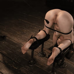 Rosalyn Sphinx in Rosalyn Sphinx: Grueling Bondage, Torment and a Sybian! (Photo 12) Rosalyn Sphinx in 'Kink' Rosalyn Sphinx: Grueling Bondage, Torment and a Sybian! (Thumbnail 12)