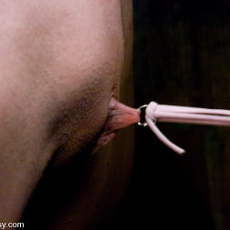 Sabrina Fox en 'Kink' Coletas (Miniatura 3)