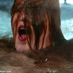 Sabrina Fox in 'Kink' Returns! (Thumbnail 8)
