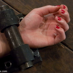 Sarah Shevon in 'Kink' The Pile Driver (Thumbnail 9)