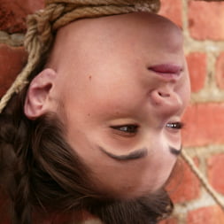Sasha Grey in 'Kink' Bonus Update! (Thumbnail 13)