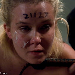 Sasha Knox in The Training of Sasha Knox, Day Three (Photo 14) Sasha Knox in 'Kink' The Training of Sasha Knox, Day Three (Thumbnail 14)