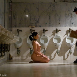 Satine Phoenix in 'Kink' The Training Of Satine Phoenix, Day Three (Thumbnail 19)