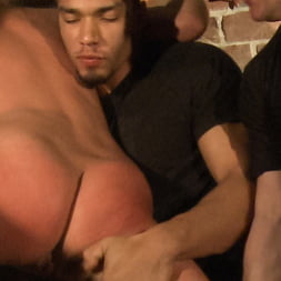 Savannah Secret in Gorgeous natural Beauty gets the gangbang of her dreams. (Photo 11) Savannah Secret in 'Kink' Gorgeous natural Beauty gets the gangbang of her dreams. (Thumbnail 11)