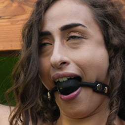 Scarlett Page en 'Kink' Bofetada feliz Scarlett (Miniatura 3)