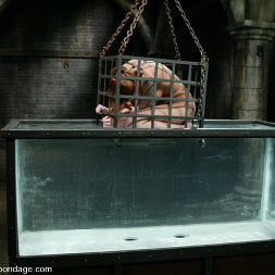 Scarlett Pain en 'Kink' is Introduced to Waterbondage! (Miniatura 6)