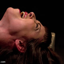 Seda in is ass-fucked, whipped and caned in hard bondage. (Photo 9) Seda in 'Kink' is ass-fucked, whipped and caned in hard bondage. (Thumbnail 9)