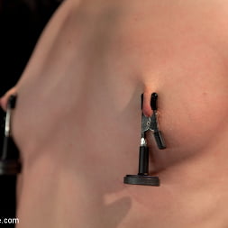 Sensi Pearl en 'Kink' Orgasmos destructivos: esta pequeña morena está obligada a correrse en una esclavitud estresante (Miniatura 1)