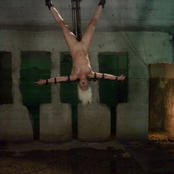 Sexy Jade in 'Kink' Jade Indica, Lorelei Lee and Sexy Jade Part 4 of 4 of the June Live Feed (Thumbnail 9)