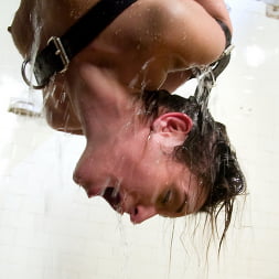 Amber Rayne in 'Kink' And The Sarge (Thumbnail 14)