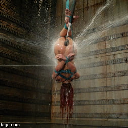 Shannon Kelly in Shannon Kelly (Photo 11) Shannon Kelly in 'Kink' Shannon Kelly (Thumbnail 11)