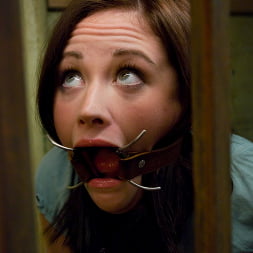 Sindee Jennings in 'Kink' Little Piece of Meat (Thumbnail 12)
