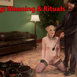 Sir Nik in 'Kink' Collaring: The Bond Beyond the Bondage (Thumbnail 2)