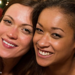 Skin Diamond en 'Kink' Una Navidad electrónica muy sexy (Miniatura 9)