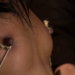 Skin Diamond in 'Kink' Brutal breath play and massive orgasms take this one to the edge of consciousness A sweaty mess. (Thumbnail 15)