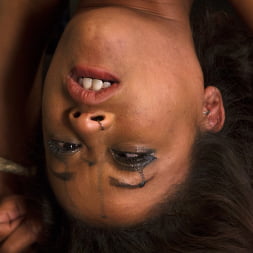 Skin Diamond in Penthouse Pet, Skin Diamond, is Devastated in Brutal Bondage (Photo 8) Skin Diamond in 'Kink' Penthouse Pet, Skin Diamond, is Devastated in Brutal Bondage (Thumbnail 8)