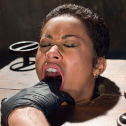 Skin Diamond in Penthouse Pet Skin Diamond Squirting in Brutal Bondage and Punished!! (Photo 10) Skin Diamond in 'Kink' Penthouse Pet Skin Diamond Squirting in Brutal Bondage and Punished!! (Thumbnail 10)