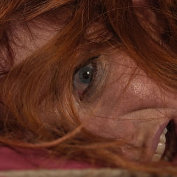 Sophia Locke en El señor Sicko y la señorita (foto 14) Sophia Locke en 'Kink' El señor Sicko y la señorita (Miniatura 14)