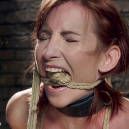 Sophia Locke in 'Kink' Sophia Locke's Lessons in Pain and Pleasure, Day Two (Thumbnail 10)