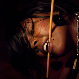 Sparky Sin Claire in 'Kink' XXXmas Party (Thumbnail 26)