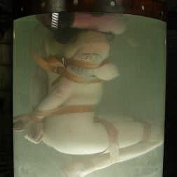 Stacey Stax in 'Kink' Stacey Stax (Thumbnail 5)