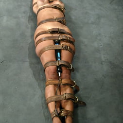Stacy Burke in 'Kink' Stacy Burke (Thumbnail 13)