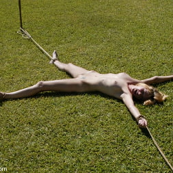 Star in Cabo: Weekend Nightmare Part 2 (Photo 4) Star in 'Kink' Cabo: Weekend Nightmare Part 2 (Thumbnail 4)