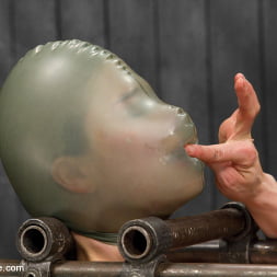 Star in Encasement Games (Photo 3) Star in 'Kink' Encasement Games (Thumbnail 3)