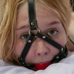 Star in 'Kink' Star (Thumbnail 12)