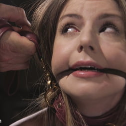Stella Cox in Fear Training: Stella Cox (Photo 5) Stella Cox in 'Kink' Fear Training: Stella Cox (Thumbnail 5)