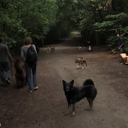 Aliz in The Dog Walk (Photo 11) Aliz in 'Kink' The Dog Walk (Thumbnail 11)
