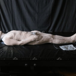Strange Hobbies in 'Kink' Silicone Encasement: Part Two (Thumbnail 8)