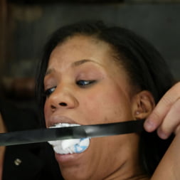 Sydnee Capri in Sydnee Capri (Photo 10) Sydnee Capri in 'Kink' Sydnee Capri (Thumbnail 10)