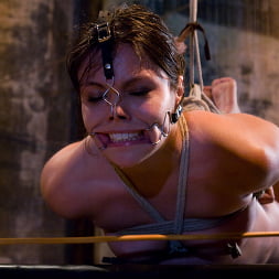 Thea Marie en La sonrisa ha sido borrada del rostro de Thea. (foto 9) Thea Marie en 'Kink' La sonrisa ha sido borrada del rostro de Thea. (Miniatura 9)