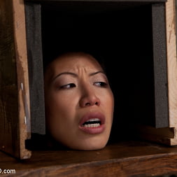 Tia Ling in The Training of Tia Ling, Day Two (Photo 19) Tia Ling in 'Kink' The Training of Tia Ling, Day Two (Thumbnail 19)