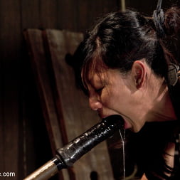 Tia Ling in The Trials of Tia (Photo 12) Tia Ling in 'Kink' The Trials of Tia (Thumbnail 12)