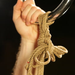 Tifereth in Bombproof Bottoming: Suspension from Sub's Side - with Tifereth and Cannon (Photo 6) Tifereth in 'Kink' Bombproof Bottoming: Suspension from Sub's Side - with Tifereth and Cannon (Thumbnail 6)