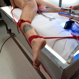 Tori Lux in 'Kink' Snatching and Machining (Thumbnail 10)